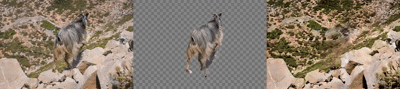 layerflow.gif